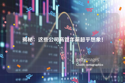 揭秘：这些公司高管年薪超乎想象！