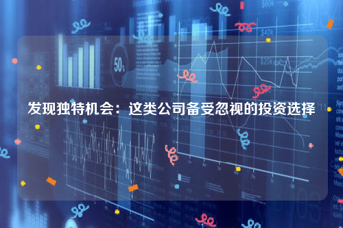 发现独特机会：这类公司备受忽视的投资选择