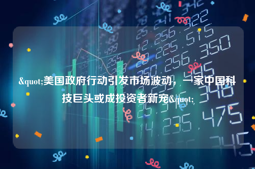 "美国政府行动引发市场波动，一家中国科技巨头或成投资者新宠"